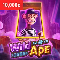 Hỗ trợ 24/7 79king4
