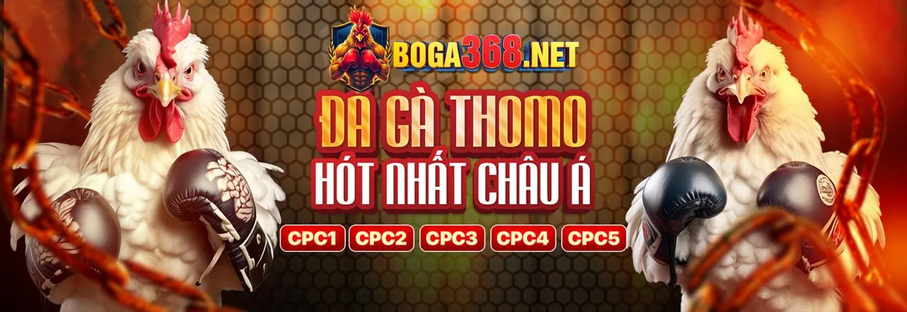Đá Gà Trực Tuyến Hấp Dẫn tại 79king4