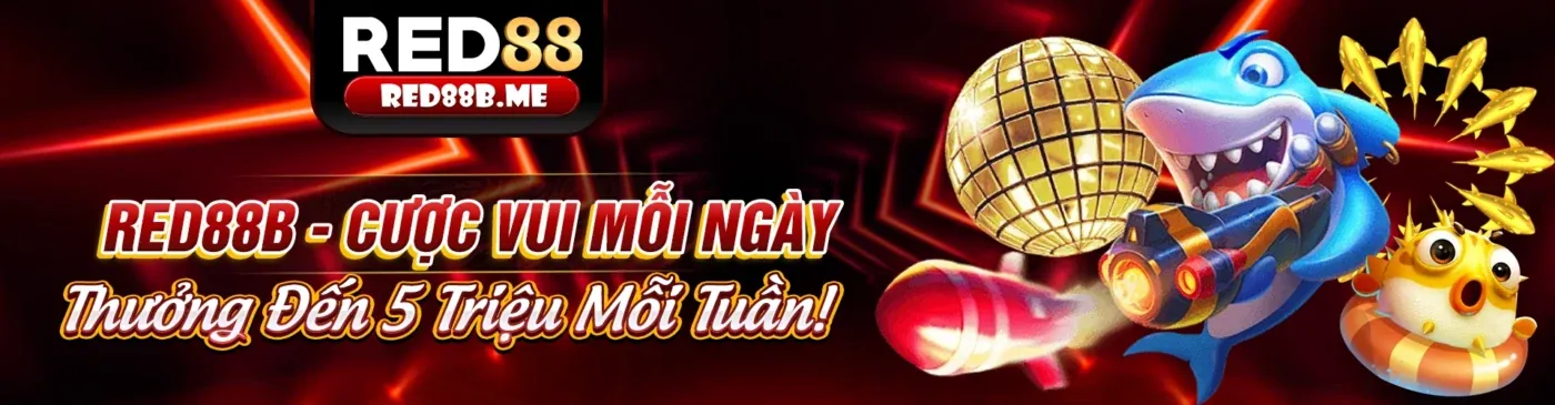 Điều khoản khuyến mãi 79king4