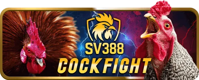 Hướng dẫn người mới bắt đầu tại 79King4